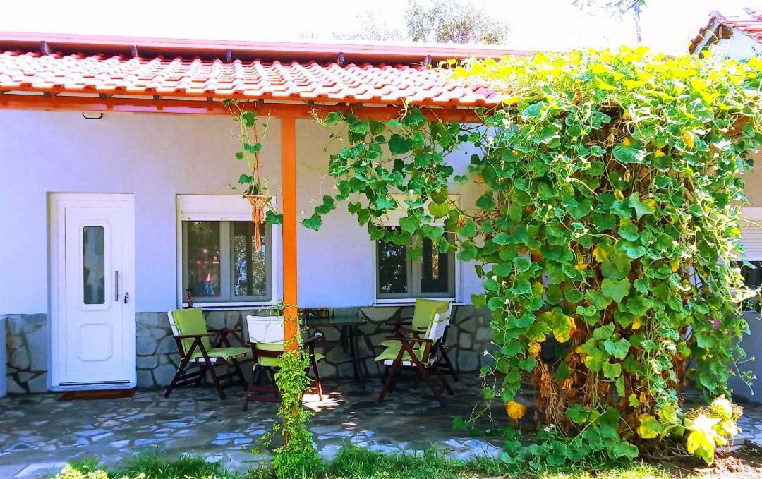 Cristi Apartments Skala Rachoni (Thasos) Exterior foto